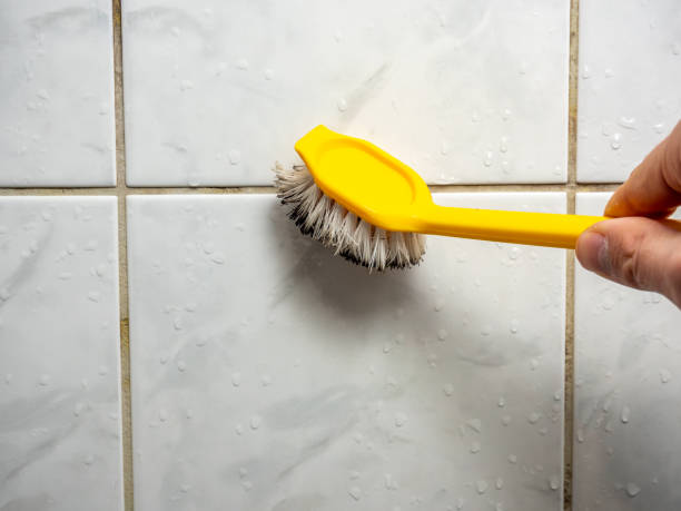Office Mold Removal Services in Odell, OR