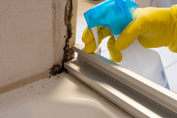 Best Office Mold Removal Services  in Odell, OR