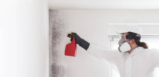 Best Commercial Mold Removal  in Odell, OR