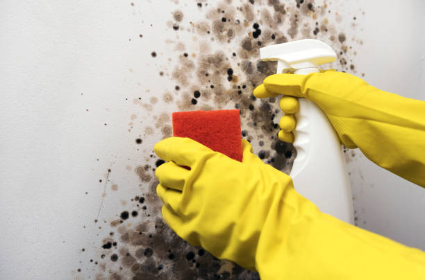 Best Mold Testing  in Odell, OR