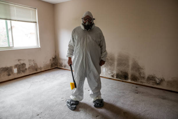 Best Black Mold Removal  in Odell, OR